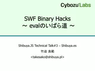 swf binary hacks eval