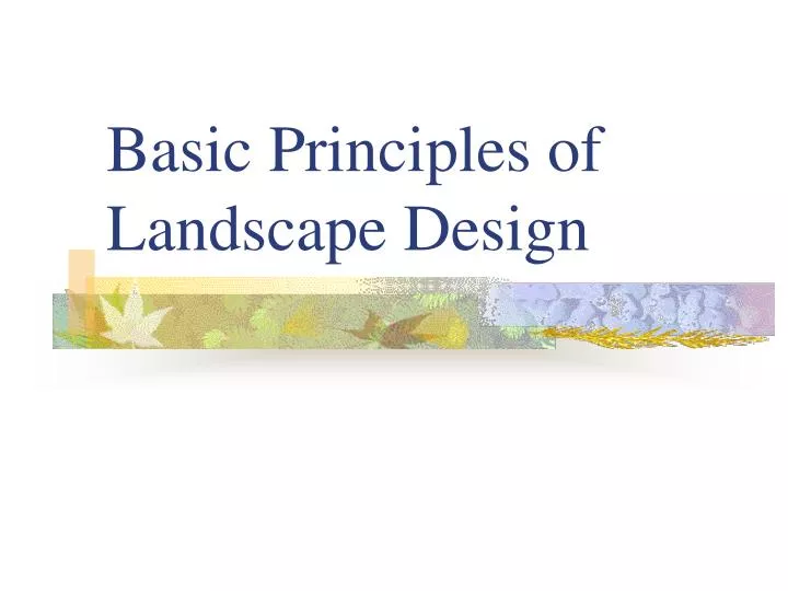 basic principles of landscape design