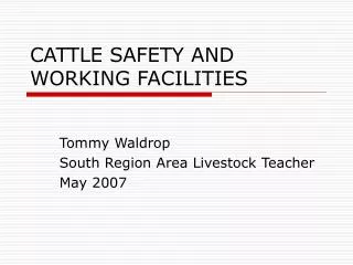 CATTLE SAFETY AND WORKING FACILITIES