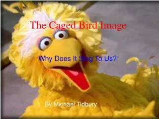 The Caged Bird Image