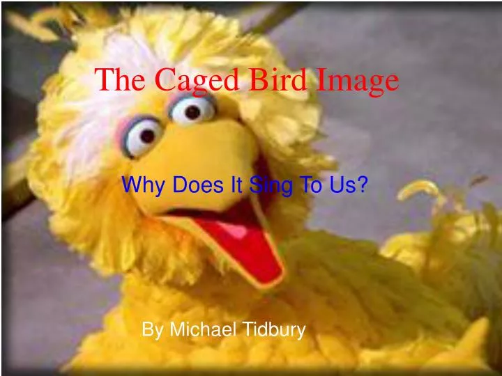the caged bird image