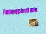 Floating eggs in salt water. - slide 1