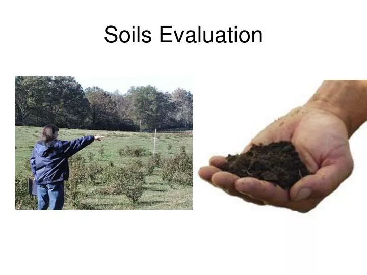 soils evaluation