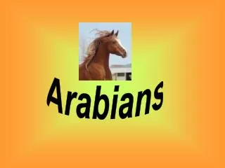 Arabians