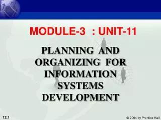 PLANNING AND ORGANIZING FOR INFORMATION SYSTEMS DEVELOPMENT