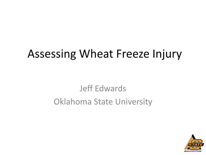 assessing wheat freeze injury