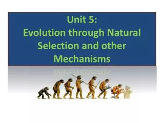 Unit 5: Evolution through Natural Selection and other Mechanisms