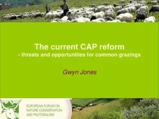 The current CAP reform - threats and opportunities for common grazings