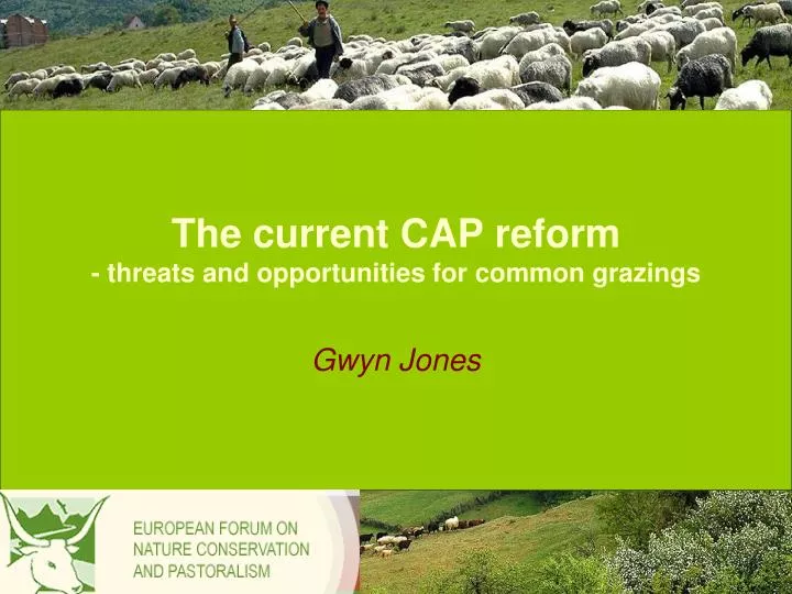 the current cap reform threats and opportunities for common grazings