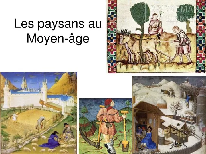 les paysans au moyen ge