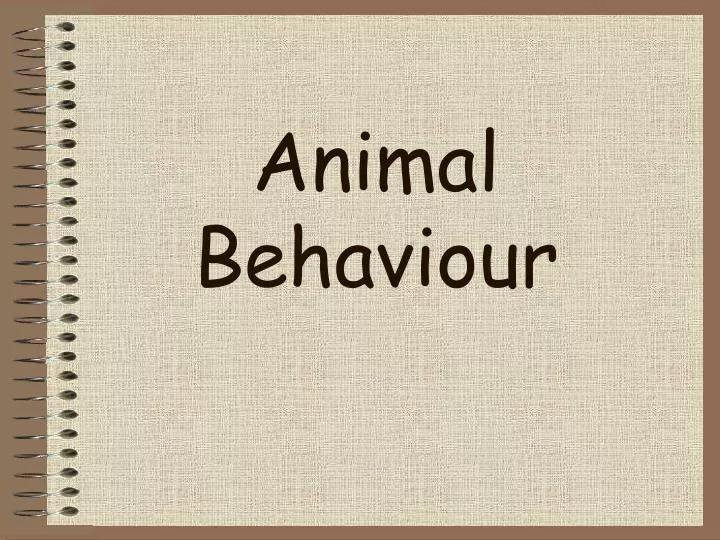 animal behaviour