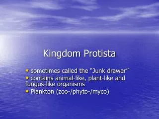 kingdom protista
