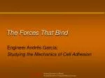 Mechanics of Cell Adhesion with Engineer Andrés García - slide 1