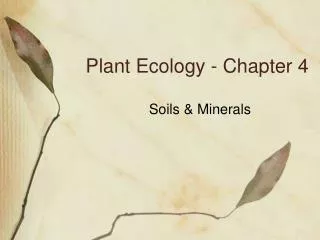 Plant Ecology - Chapter 4
