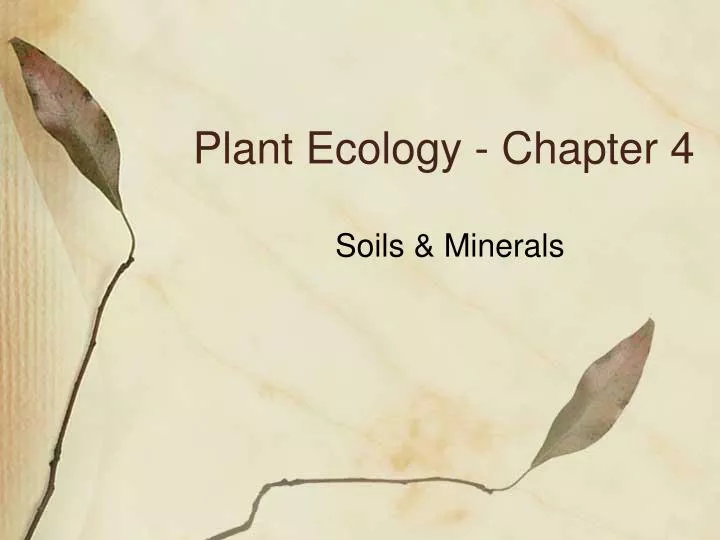 plant ecology chapter 4