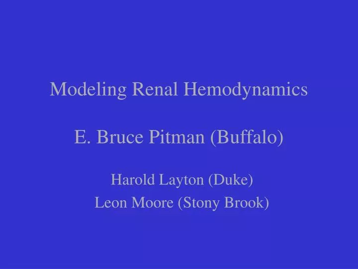 modeling renal hemodynamics e bruce pitman buffalo