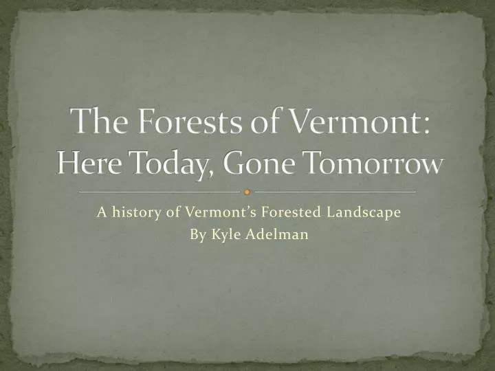 the forests of vermont here today gone tomorrow