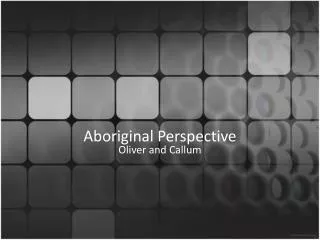 Aboriginal Perspective