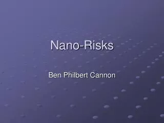 Nano-Risks