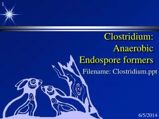 Clostridium: Anaerobic Endospore formers