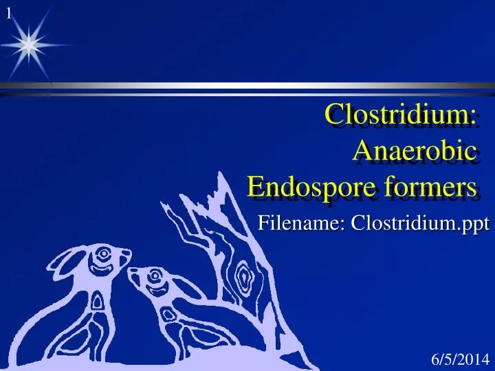 clostridium anaerobic endospore formers