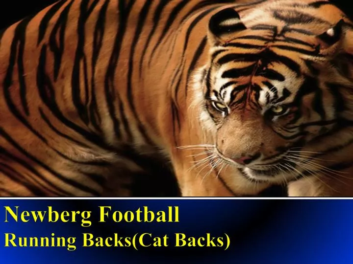 newberg football running backs cat backs