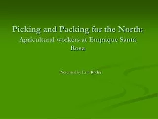 Picking and Packing for the North: Agricultural workers at Empaque Santa Rosa