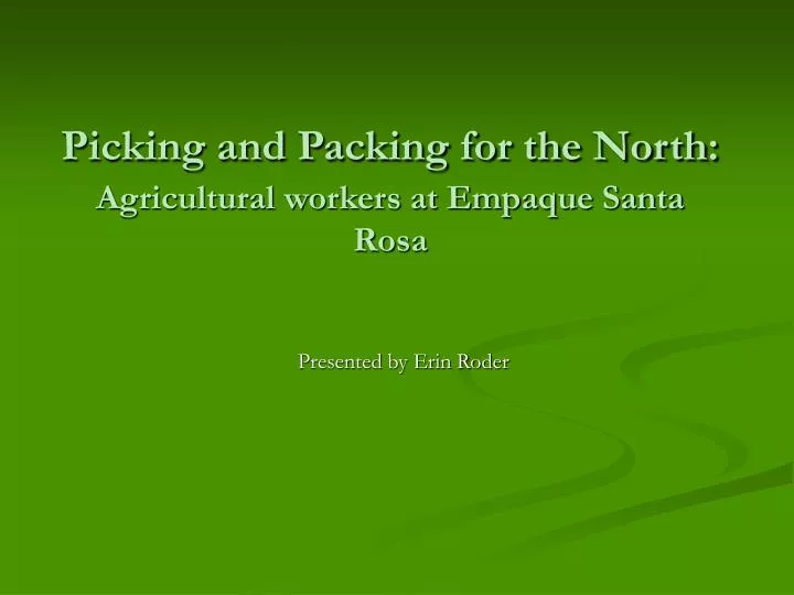 picking and packing for the north agricultural workers at empaque santa rosa