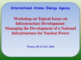 International Atomic Energy Agency Workshop on Topical Issues on Infrastructure Development: