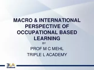 MACRO &amp; INTERNATIONAL PERSPECTIVE OF OCCUPATIONAL BASED LEARNING
