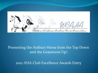 Promoting the Arabian Horse from the Top Down and the Grassroots Up! 2012 AHA Club Excellence Awards Entry