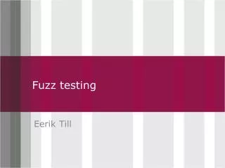 Fuzz testing