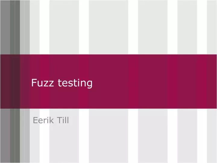fuzz testing
