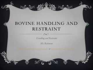 Bovine Handling and Restraint