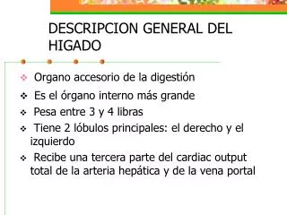 DESCRIPCION GENERAL DEL 		HIGADO