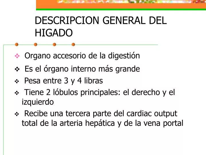 descripcion general del higado