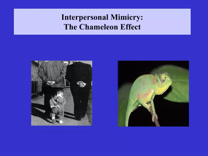 interpersonal mimicry the chameleon effect