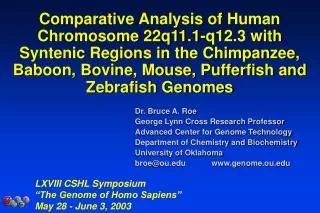Comparative Analysis of Human Chromosome 22q11.1-q12.3 with Syntenic Regions in the Chimpanzee, Baboon, Bovine, Mouse, P