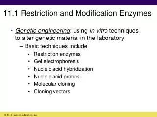 11.1 Restriction and Modification Enzymes