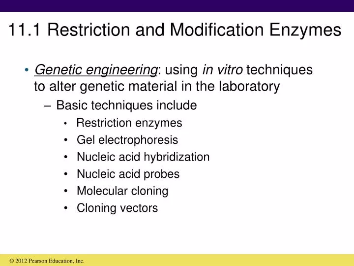 11 1 restriction and modification enzymes