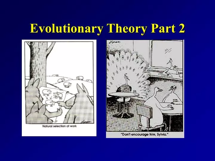evolutionary theory part 2