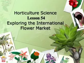 Horticulture Science Lesson 54 Exploring the International Flower Market