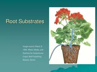 Root Substrates