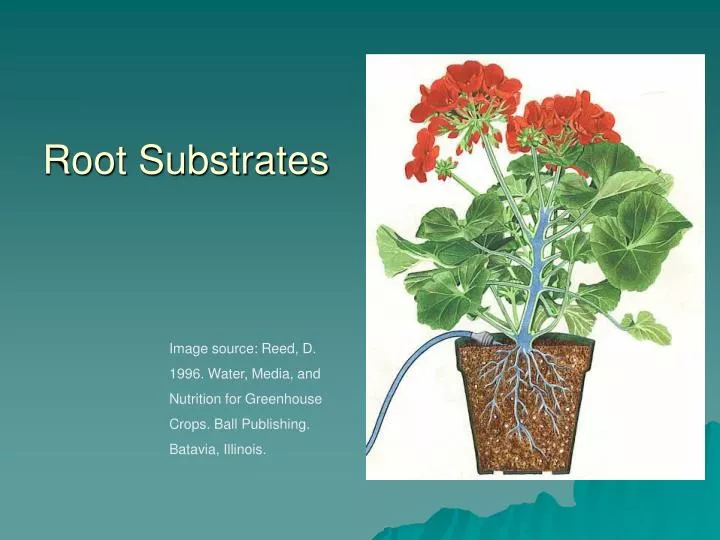root substrates