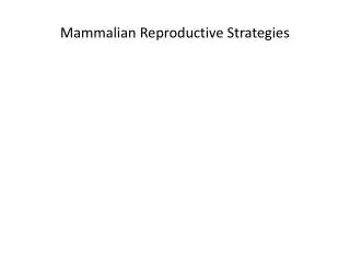 Mammalian Reproductive Strategies