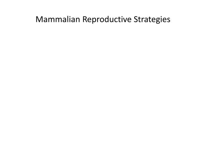 mammalian reproductive strategies