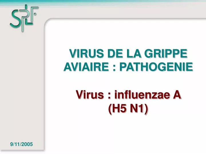 virus de la grippe aviaire pathogenie virus influenzae a h5 n1