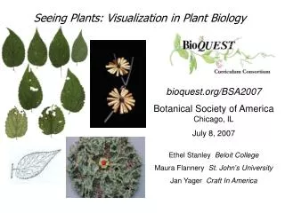 bioquest.org/BSA2007 Botanical Society of America Chicago, IL July 8, 2007 Ethel Stanley Beloit College Maura Flannery
