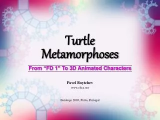 Turtle Metamorphoses