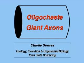 Oligochaete Giant Axons
